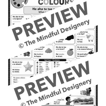 Ngā Tae - Colours in Te Reo Māori Lesson Sheet