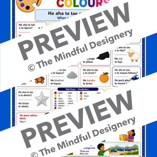 Ngā Tae - Colours in Te Reo Māori Lesson Sheet